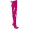 Pleaser - SEDUCE3000WC Bottes cuissardes à plateforme - Rose Product image